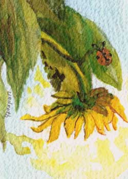 "Sunny Sunflower" by  Mary Lou Lindroth, Rockton IL - Watercolor - SOLD